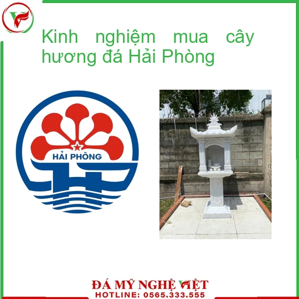Kinh nghiệm mua cây hương đá Hải Phòng-f2-1989